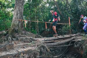 BIB: 
                            <button type="button" onclick="openModal(27747290)" class="btn btn-primary btn-sm float-right btn-popup" data-toggle="modal" data-target=".modal-high-quality">
                        <i class="fas fa-shopping-cart"></i> Add to Cart
                    </button>
                                            <button type="button" onclick="isThisMe(27747290, true)" class="btn btn-success btn-sm float-right btn-popup btn-isme hidden" data-toggle="tooltip" data-placement="bottom" title="นี่คือรูปของคุณใช่ไหม คลิกที่นี่เพื่อเอาเข้าอัลบั้ม">
                        <i class="fas fa-plus"></i> Add to album
                    </button>
                    <button type="button" onclick="isThisMe(27747290, false)" class="btn btn-warning btn-sm float-right btn-popup btn-isnotme hidden">
                        <i class="fas fa-ban"></i> Remove from album
                    </button>